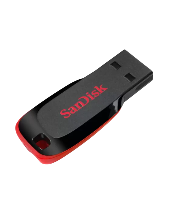 SanDisk USB Flash Drive