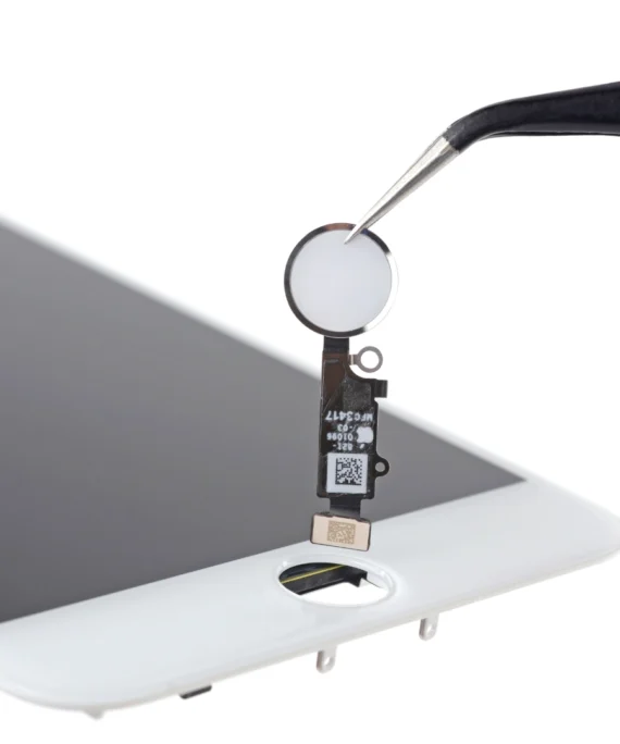 Home Button